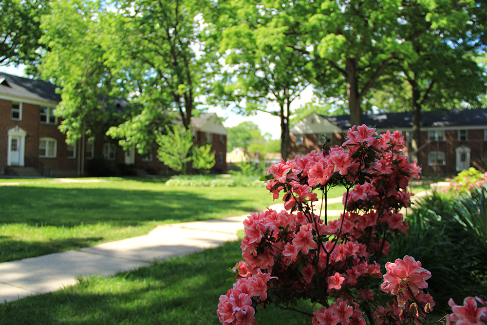 Glenwood Gardens Apartments Reviews Fasci Garden